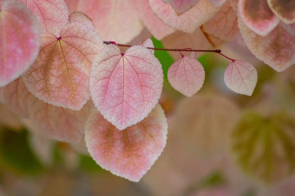 When the Founder Funnel Runs Dry: Why Early-Stage Companies&nbsp;Stall